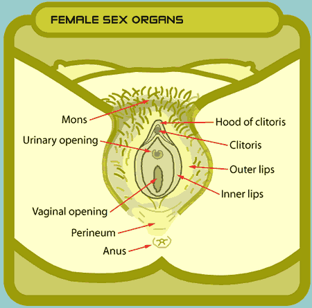 female sex photo video