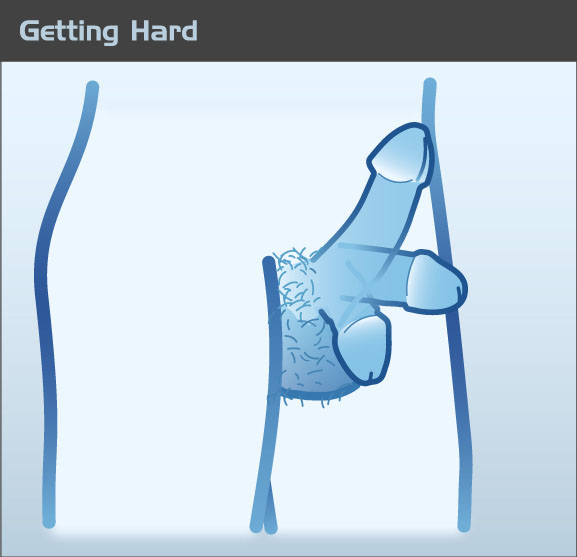 Penis getting hard
