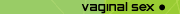 Vaginal sex